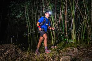 BIB: 
                            <button type="button" onclick="openModal(6936029)" class="btn btn-primary btn-sm float-right btn-popup" data-toggle="modal" data-target=".modal-high-quality">
                        <i class="fas fa-shopping-cart"></i> Add to Cart
                    </button>
                                            <button type="button" onclick="isThisMe(6936029, true)" class="btn btn-success btn-sm float-right btn-popup btn-isme hidden" data-toggle="tooltip" data-placement="bottom" title="นี่คือรูปของคุณใช่ไหม คลิกที่นี่เพื่อเอาเข้าอัลบั้ม">
                        <i class="fas fa-plus"></i> Add to album
                    </button>
                    <button type="button" onclick="isThisMe(6936029, false)" class="btn btn-warning btn-sm float-right btn-popup btn-isnotme hidden">
                        <i class="fas fa-ban"></i> Remove from album
                    </button>